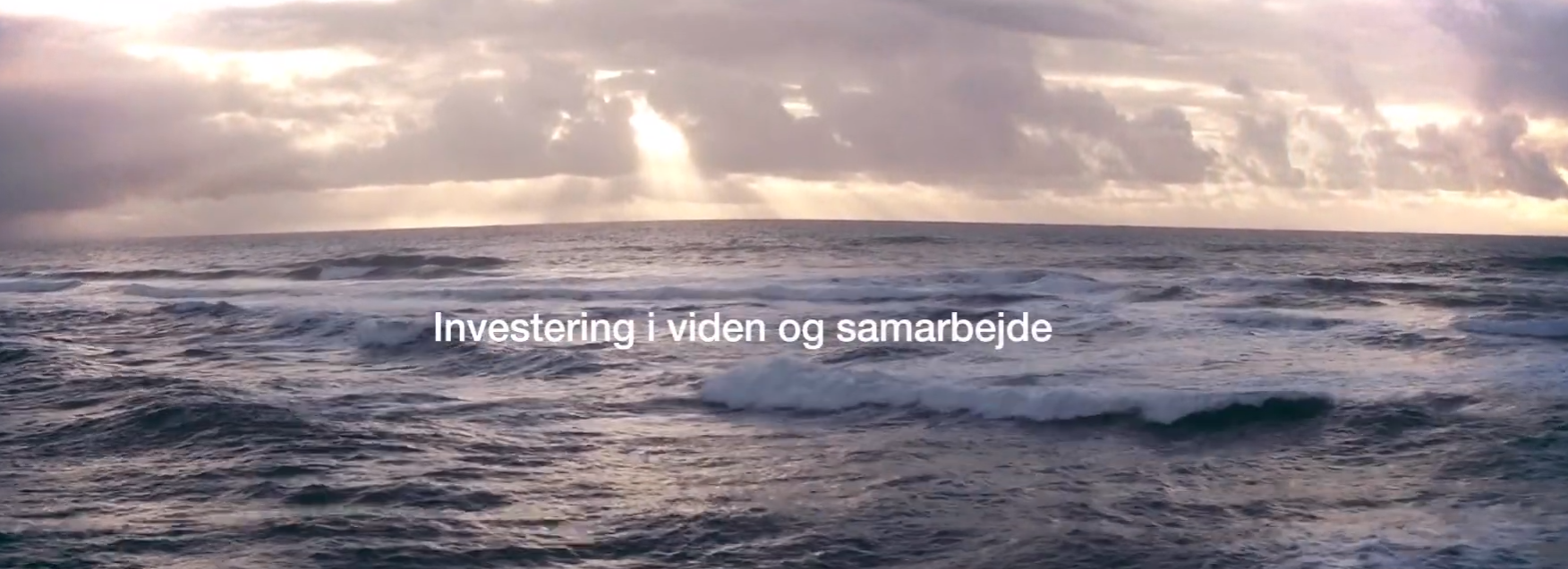 Blue INNOship-video